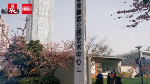 樱花季市民打卡静安雕塑公园,老上海回忆石库门往事,当年这里有个金家宅