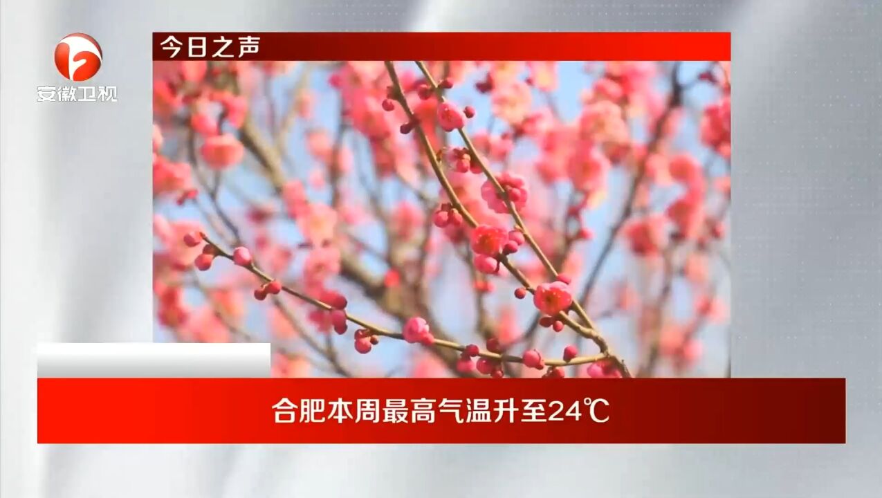 合肥本周最高气温升至24℃