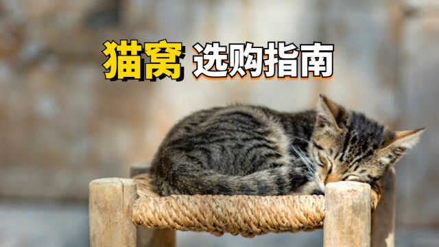 新手猫窝怎么选,一分钟教你选好猫窝!