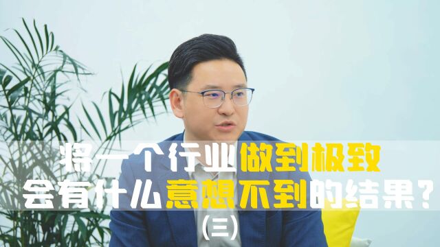 将一个行业做到极致,会有什么意想不到的结果?