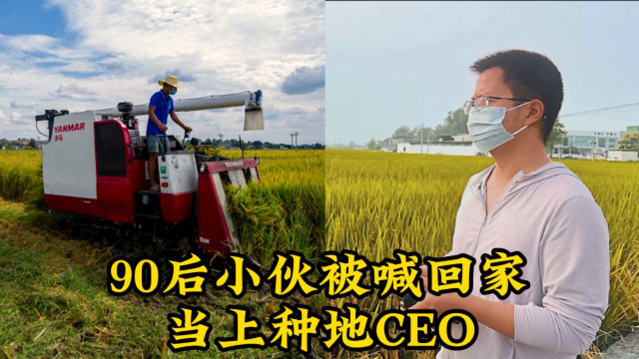 90后小伙被喊回家当上种地CEO