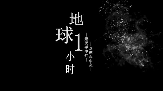 长春华友大酒店 地球一小时 我们在行动 熄灭一盏灯 点亮一颗星 让绿意再生 愿星河璀璨