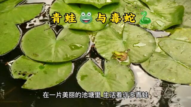 青蛙与毒蛇