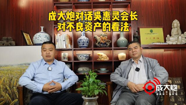 成大炮对话吴惠灵会长对不良资产的看法