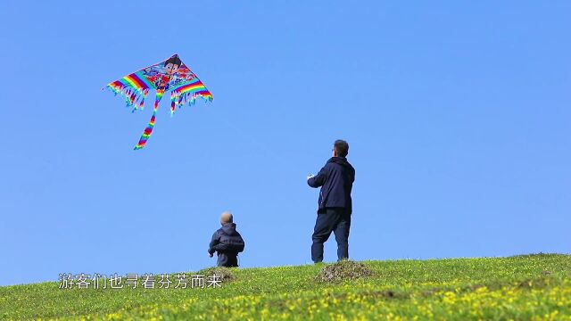 巩留县服务行业积极做好春季旅游准备工作