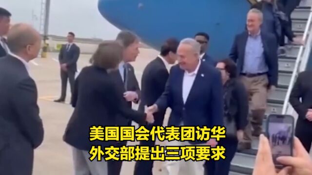 美国舒默率团访问中国,外交部表示欢迎来访,但也提出了三项要求