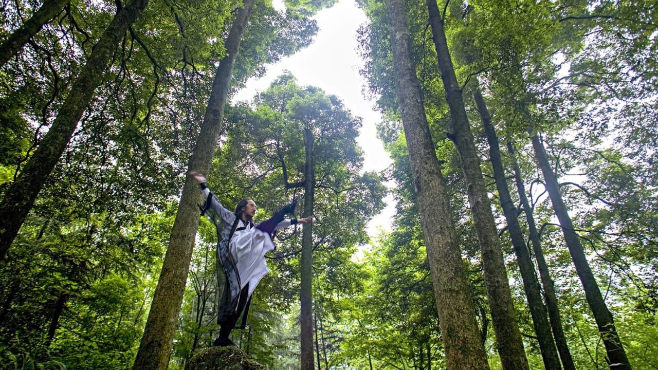 青城山道观回应招募道士限制:出家生活清贫,年龄大身体吃不消