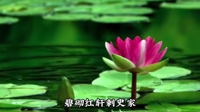 清明节诗词朗诵1