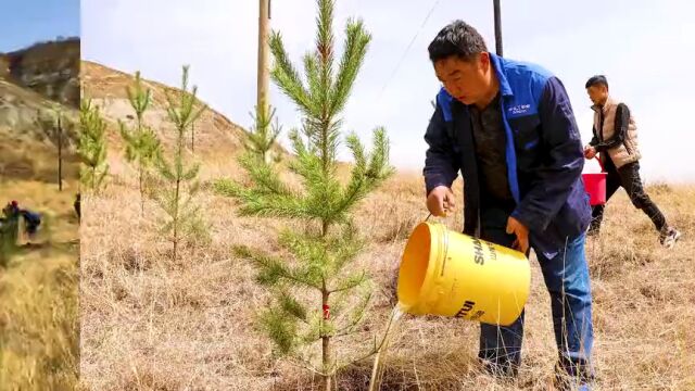 平凉日报微友林喊你植树啦!