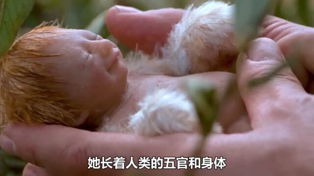 男人意外捡到一只小鸟,没想到带回家变成了长着人脸的小精灵#我的观影报告