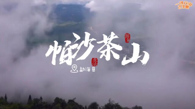 勐海六大古茶山之帕沙