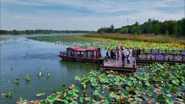 江苏丰县:国庆假期,游玩大沙河国家湿地公园