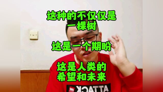 不仅仅是一棵树,更是一种期待!