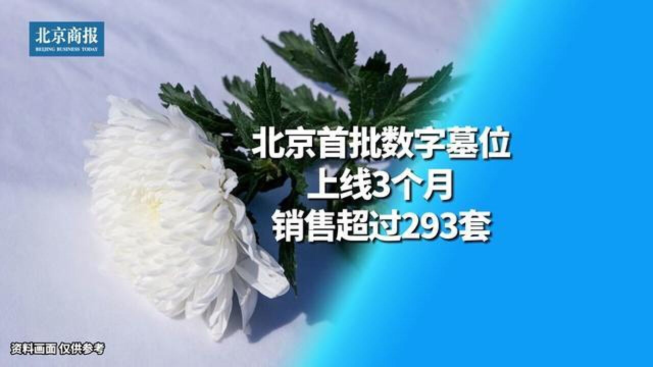 北京市,北京首批数字墓位销售量