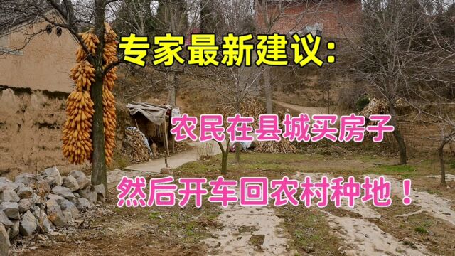 专家最新建议:农民去县城买房住,然后开车回农村种地?