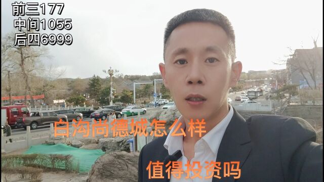 白沟尚德城怎么样/值得投资吗