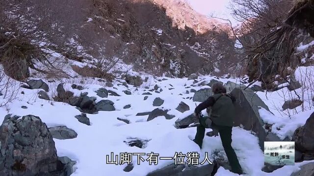 d275:建造小型的锻造厂#山地硬汉#荒野求生