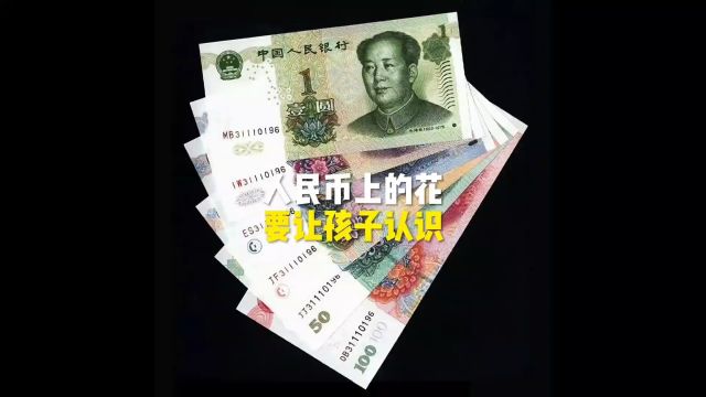 人民币上的花是什么花?要让孩子知道#科普 #知识分享 #知识科普