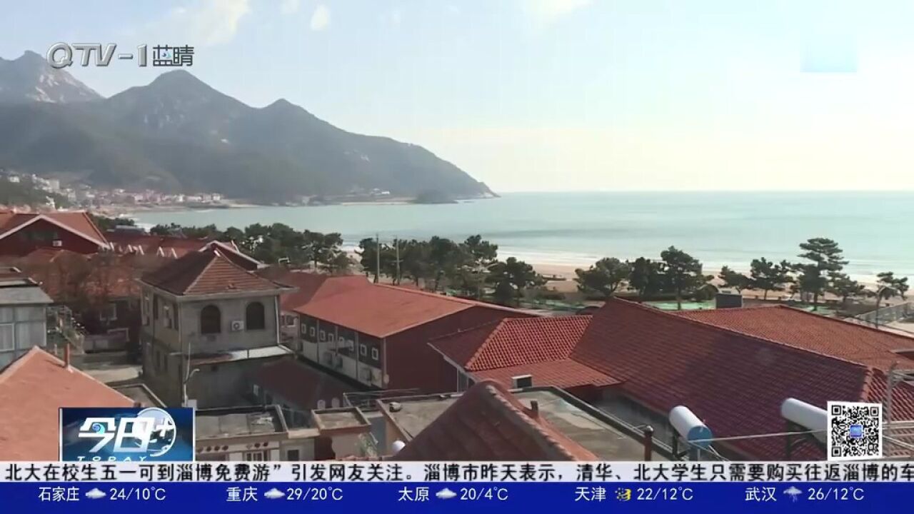 山海风景,农家小院!鲅鱼节带火崂山民宿,一房难求