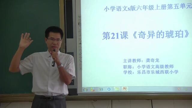 【小语优课】琥珀 教学实录 四下(含教案课件)