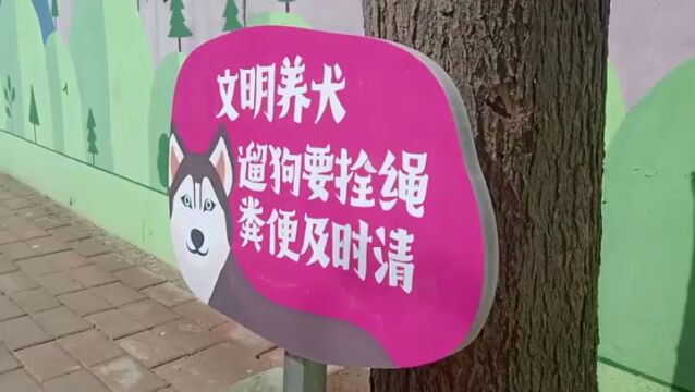 创城进行时 | 银州区:典型示范引领城市文明提质增速