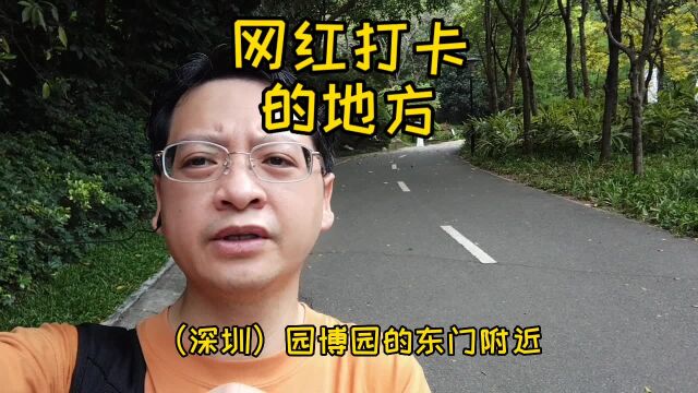 深圳一个网红的打卡地,在园博园的东门附近