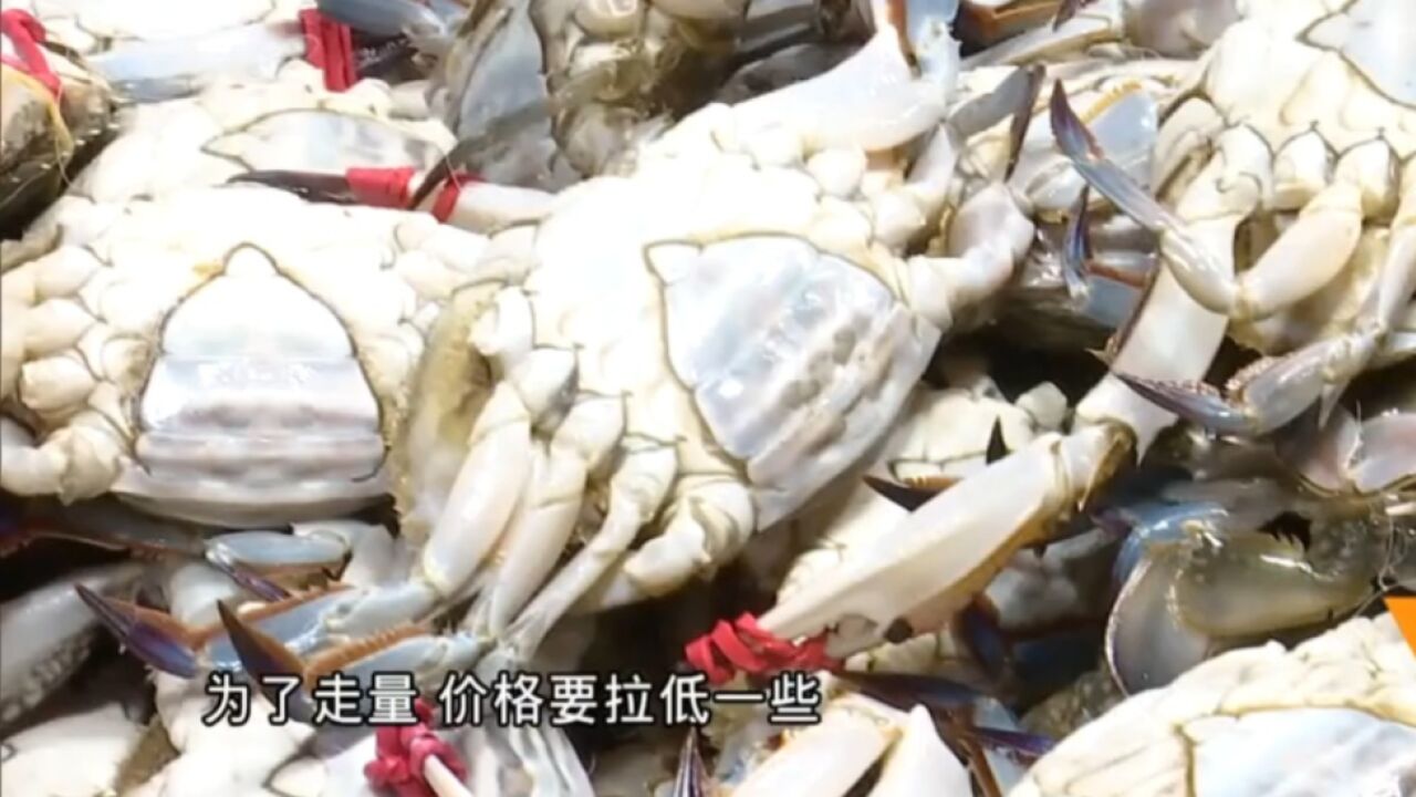 五一假期至,海鲜消费热情提升!皮皮虾海蟹市场价格如何?