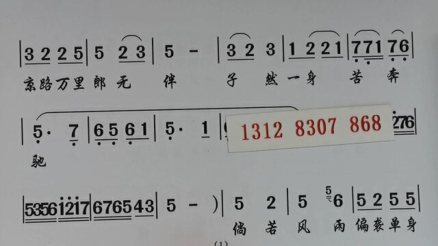 潮剧曲谱伴奏 甘苦与共合相依(方沐榕)《金花女》唱段OK附简谱动态练习纯伴奏乐