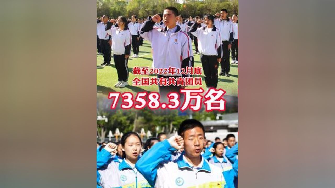 截至2022年12月底,全国共有共青团员7358.3万名!