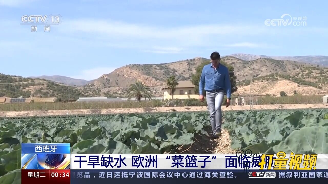 西班牙干旱缺水,土地荒漠化加剧,欧洲“菜篮子”面临威胁