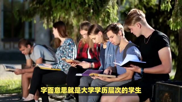 再次考大学?大学教育:高级大学生群体的前景!