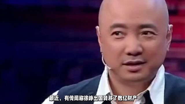 徐峥回应出国转移数亿财产:我没有多少亿的资产!