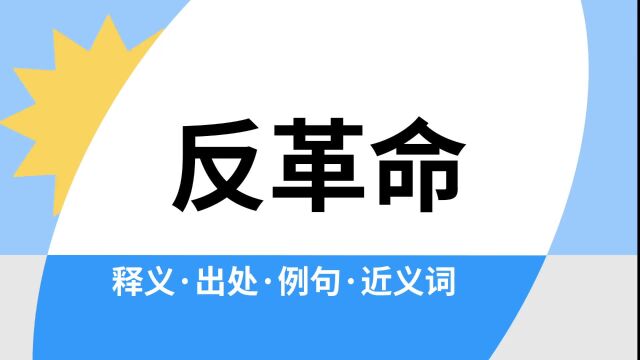 “反革命”是什么意思?