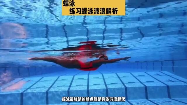 游泳~蝶泳打腿技巧:掌控身体波浪,提高蝶泳配合#深圳学游泳 #游泳技巧 #蝶泳腿 #蝶泳