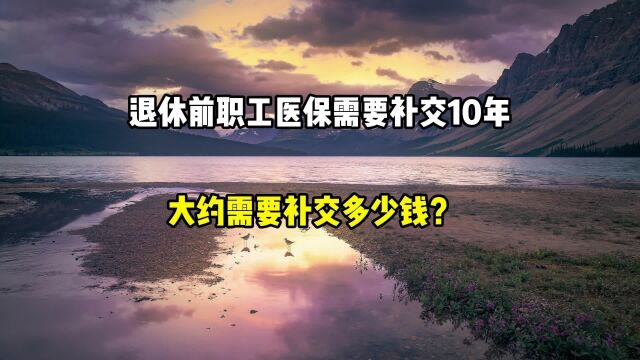 退休前,职工医保需要补交10年,大约要补交多少钱?