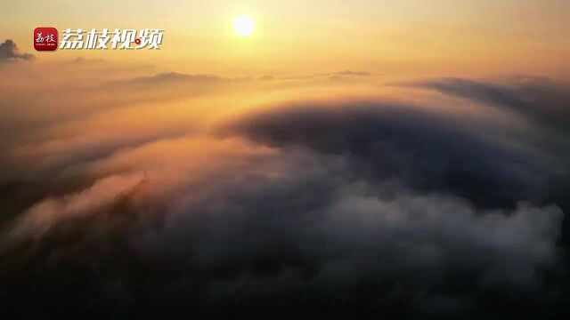 大气!南京紫金山云海奔涌映朝霞