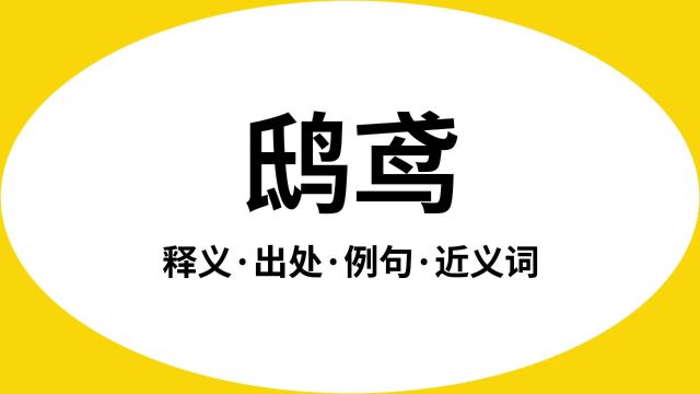 “鸱鸢”是什么意思?