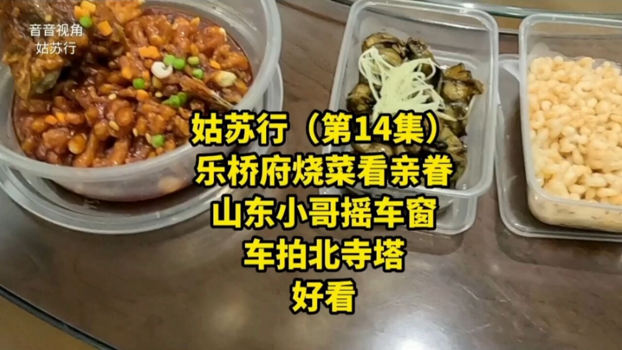 上海音音姑苏行(第14集)乐桥府烧菜看亲眷,山东小哥摇窗车拍北寺塔