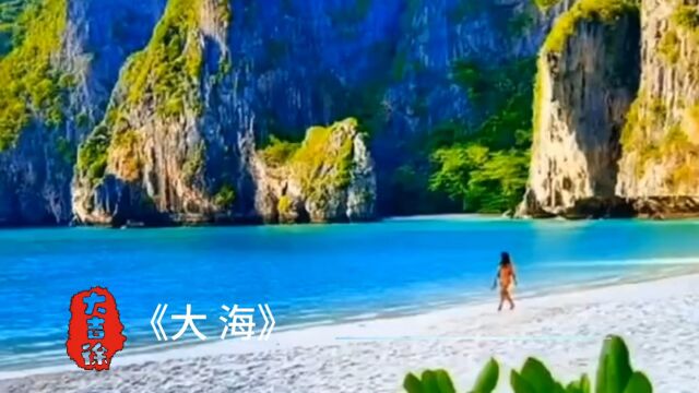 《大海》分享画音|分享好听|