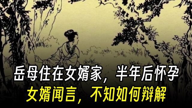 民间故事:岳母住在女婿家,半年后怀孕,女婿闻言,不知如何辩解