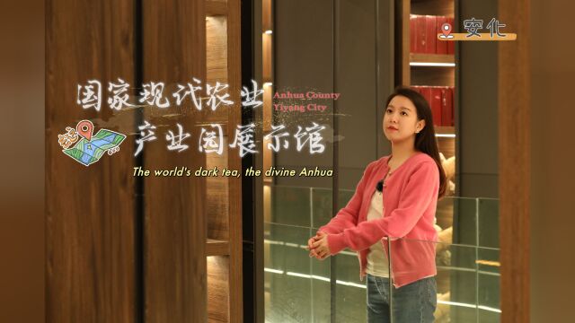 双语丨大数据全赋能的安化黑茶展示馆,和Zhuzhu一起来打卡!