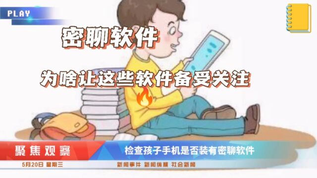 密聊软件,是什么让这些软件备受关注