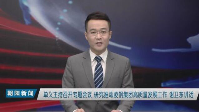 推动凌钢集团高质量发展,书记市长发话了!