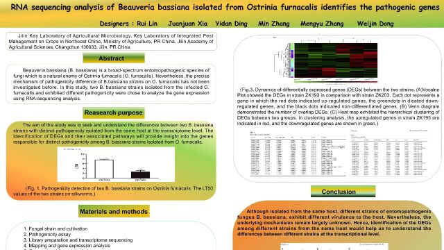 RNA sequencing analysis of Beauveria bassiana