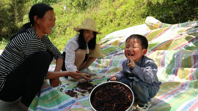 随阿松进山摘金银花吧,大山里白草莓树莓桑葚应有尽有,太解压了