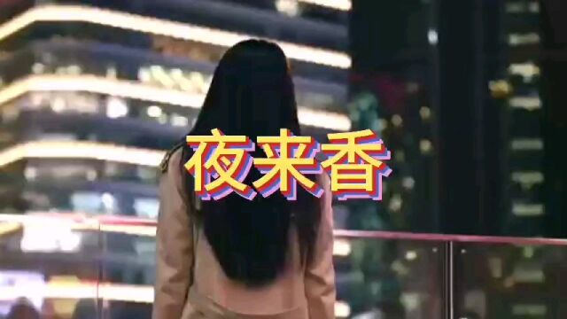 邓丽君经典怀旧金曲《夜来香》