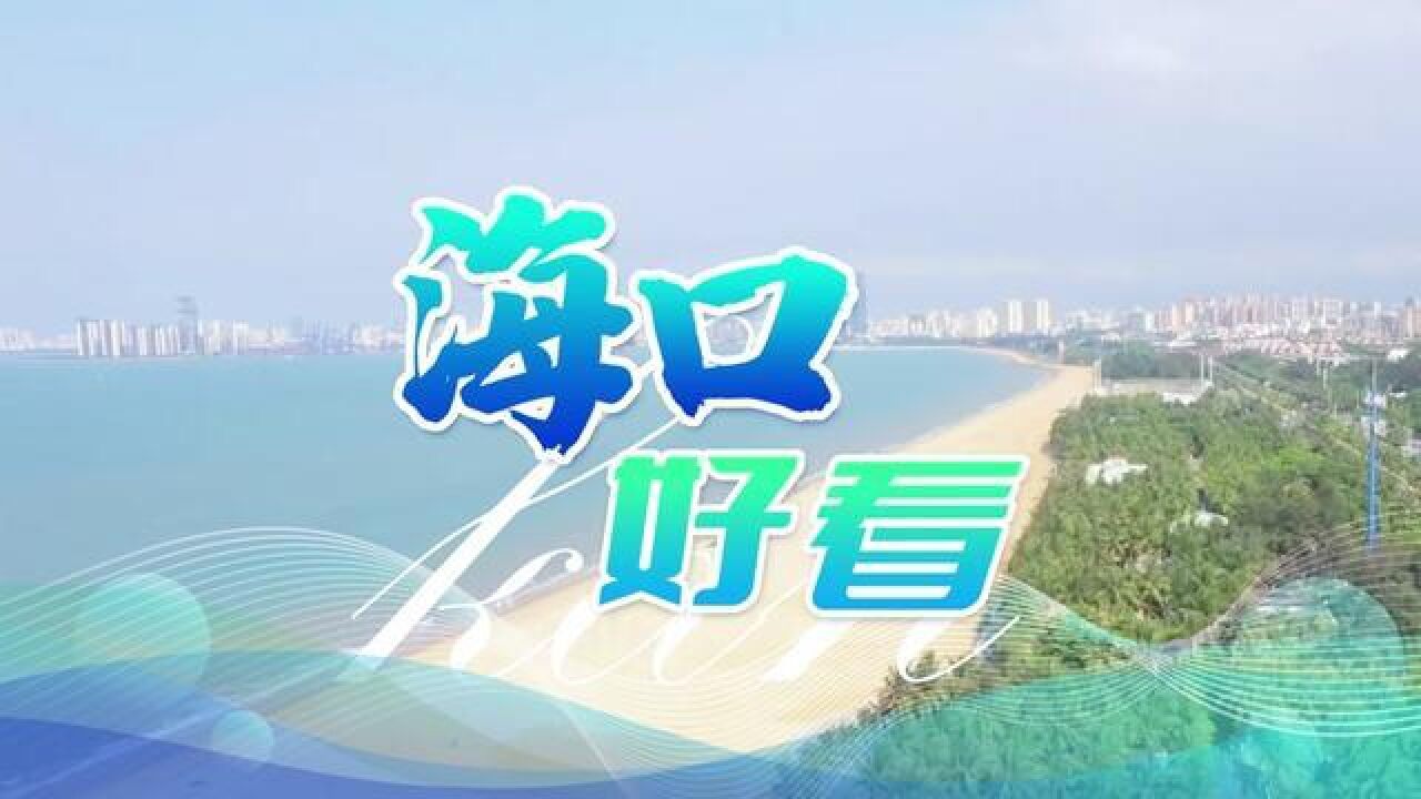 坐稳了!超酷视角带你在海口“飞檐走壁”,360感受海口好风景