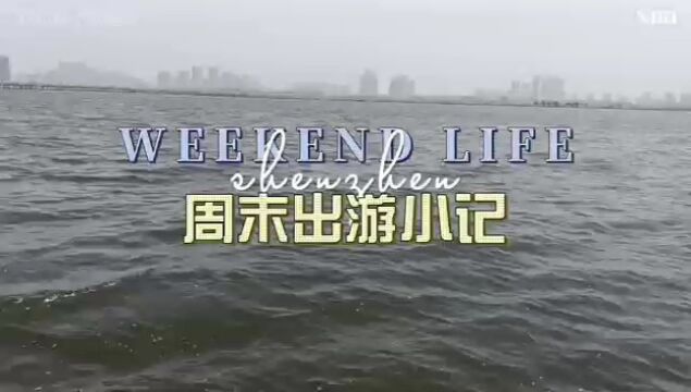 周末来临沂看海