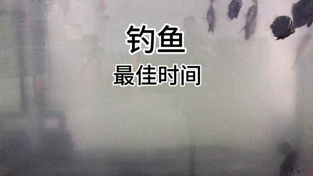 一天之中最佳钓鱼时间#钓鱼 #海钓 #钓大物 #海钓船钓 #钓鲈鱼