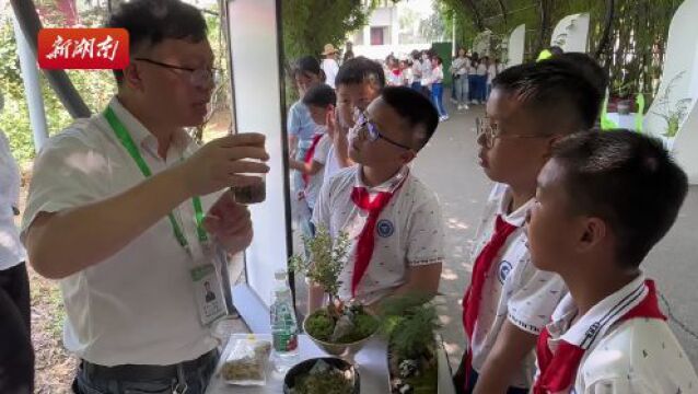 古老植物的微观“秘密”, 你知道吗?